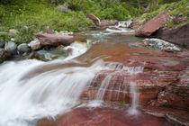 Red rock in Baring Creek in Glacier National Park in Montana von Danita Delimont