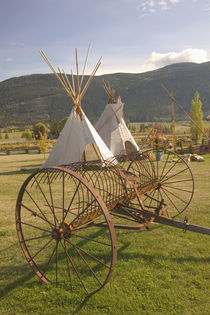 Tepees & Antique Farm Equipment von Danita Delimont