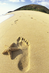 Footprint and starfish in sand von Danita Delimont