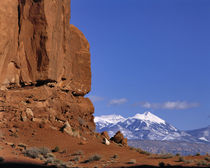 The Windows Section of Arches National Park in Utah looks east to the La Sal Mountains von Danita Delimont