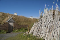 Replica of Viking longhouse with drying firewood by Danita Delimont