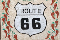 Holbrook Route 66 street sign by Danita Delimont