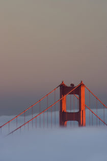 Pictured is the top of the Golden Gate Bridge's south tower sticking out of the fog at sunset by Danita Delimont
