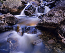 Fish Creek Falls near Steamboat Springs Colorado von Danita Delimont