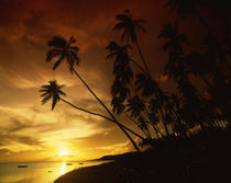Sunset on Molokai von Danita Delimont