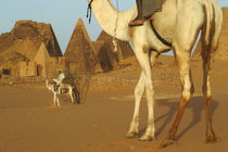 Meroe pyramids with cameldrivers von Danita Delimont