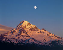 Sunset creates alpenglow on Mt Hood in the Oregon Cascades by Danita Delimont