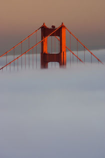 Pictured is the top of the Golden Gate Bridge's south tower sticking out of the fog at sunset by Danita Delimont