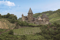 Schloss Stahleck and Vineyards above the Moselle River by Danita Delimont