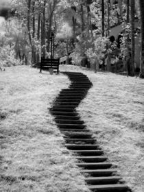 Infra red of trees buildings and trails in Las Terrazas nature reserve in Cuba von Danita Delimont