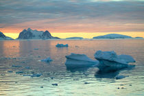 Out of Port Lockroy Antarctica Peninsula by Danita Delimont