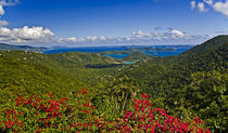 S Virgin Islands von Danita Delimont