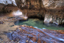 The Subway along the Left Fork of the Virgin River in Zion National Park in Utah in autumn von Danita Delimont