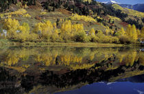 Telluride fall reflections in pond; early snow on mountains by Danita Delimont