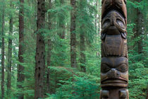 A totem stands on the edge of the forest by Danita Delimont