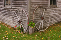 Wagon Wheels by Danita Delimont