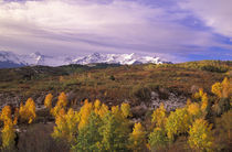 Dallas divide in Autumn von Danita Delimont