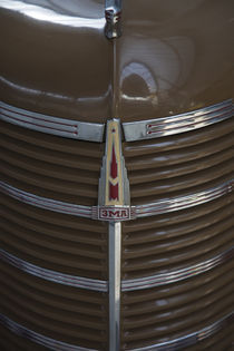 Hood ornament of 1960s Moskvitch car made at Soviet-era ZMA car factory by Danita Delimont