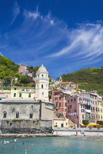 Harbor and Church of Vernazza by Danita Delimont