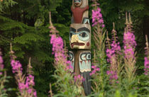 Totem pole with fireweed von Danita Delimont