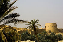 Al-Diriya old town of Saud family by Danita Delimont