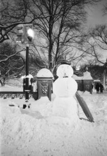 Snowman in Central Park von Danita Delimont