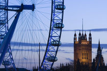 London: Houses of Parliament and London Eye / Evening by Danita Delimont