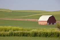 Along Endicott Road von Danita Delimont