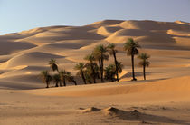 Ubari sand dunes von Danita Delimont