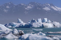 Glacier and icebergs von Danita Delimont