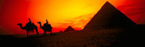 Egypt at sunset by Danita Delimont