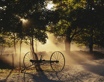 Sunlight falling on antique hay raker by Danita Delimont