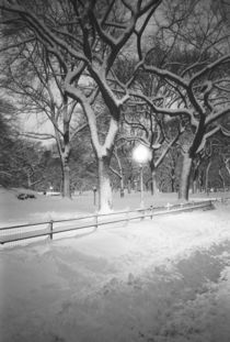 Covered promenade in Central Park by Danita Delimont