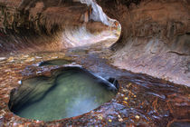 The Subway along the Left Fork of the Virgin River in Zion National Park in Utah in autumn by Danita Delimont