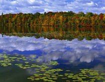 Autumn color reflects in Park Haven Lake von Danita Delimont