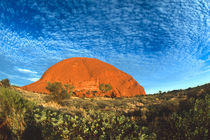 Red Glow of the Famous Ayers Rock in the Outback Australia von Danita Delimont