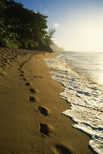 Footprints in sand by Danita Delimont