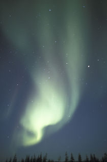 Aurora borealis von Danita Delimont