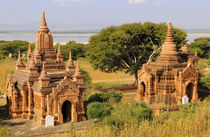 Various temples at Bagan by Danita Delimont