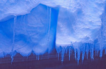 Antarctica: Blue Icebergs by Danita Delimont