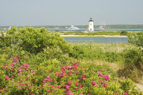 View across beach grases and flowers towards Edgartown Light and Harbor von Danita Delimont
