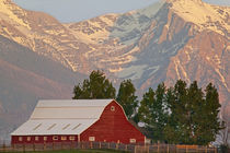 Bright red barn against Mission Mountains in Montana by Danita Delimont
