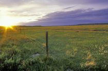 Barbed Wire Fenceline in northeastern Montana near Plentywood by Danita Delimont