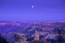 Moonrise over Point Imperial and the North Rim von Danita Delimont