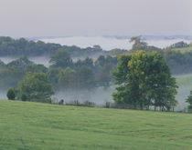 Rolling hills of the Bluegrass region at sunrise by Danita Delimont