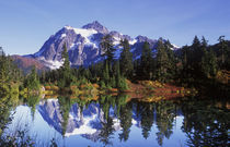 Shuksan Reflected in Picture Lake von Danita Delimont