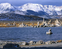 Mono Basin von Danita Delimont