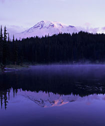 Rainier and it's reflection in Reflection Lake at dawn by Danita Delimont