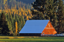 A Farmed red barn built in 1911 near Troy Montana Jim Winslow Ranch von Danita Delimont
