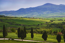Scenic of the Tuscan countryside von Danita Delimont